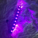 LED LIGHT UP CHOKER
