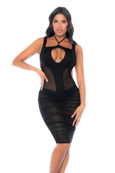 Sheer Seduction Cut Out Dress