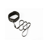 SEI MIO Take the Lead Padded Neck Collar and Leash