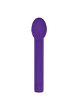 Evolved Sweet Spot Rechargeable Silicone G-Spot Vibrator Purple