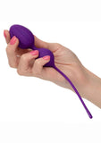Kegel Training (3 piece) Set - Purple