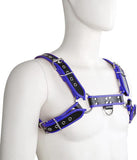 ONE SIZE BULLDOG HARNESS