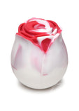 Bloomgasm The Rose Lover's Gift Box