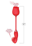 Wild Rose Come Hither and Suction Vibe