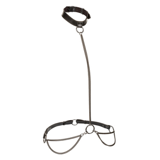 Euphoria Collection Chain Halter/Collar & Leash - Plus Size - Black