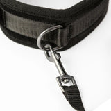 SEI MIO Take the Lead Padded Neck Collar and Leash