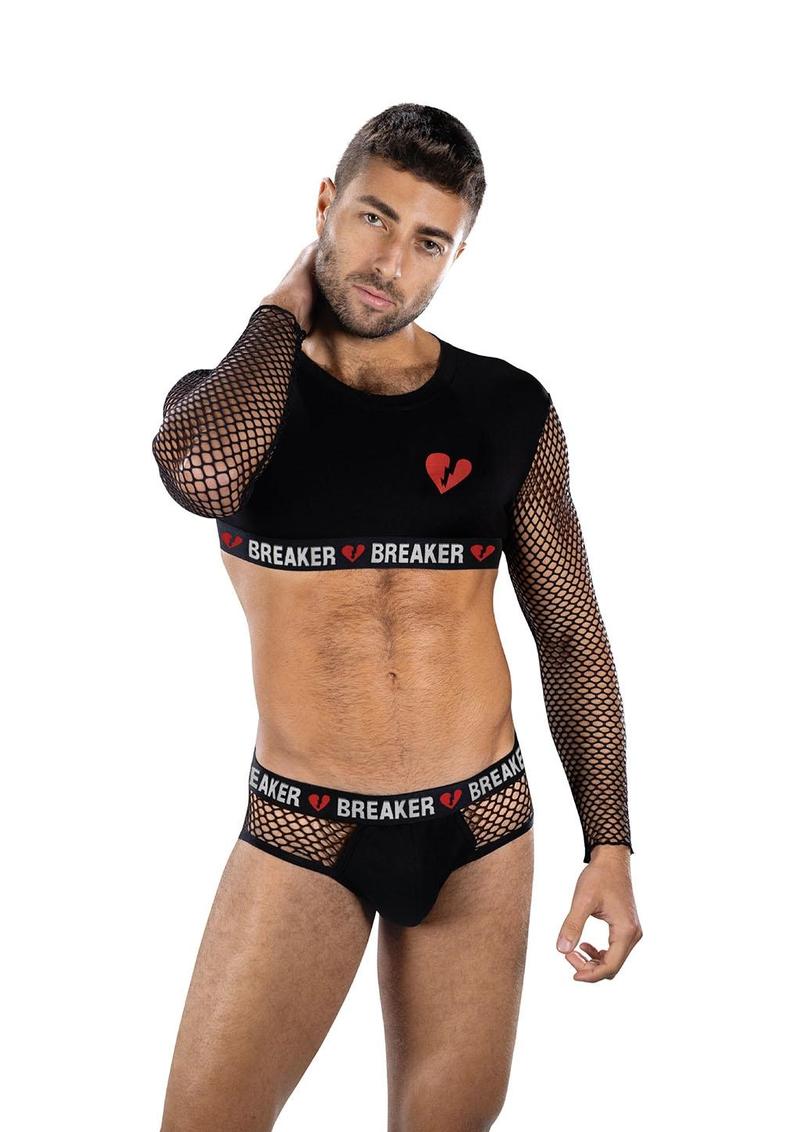 HEARTBREAKER MESH CROP TOP & BRIEFS SET