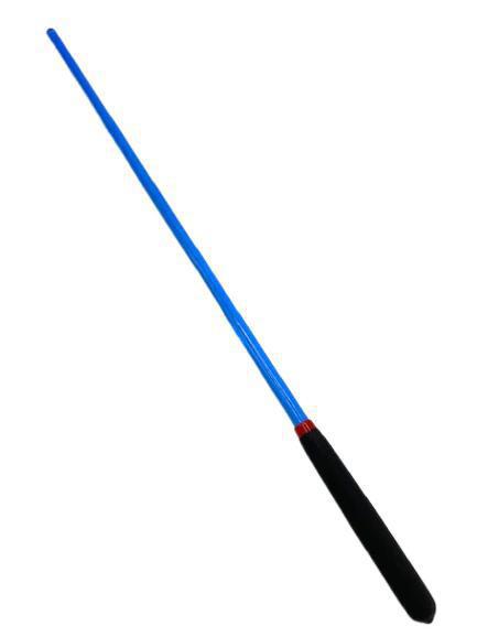 Acrylic Cane