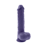 Evolved Pleasure Rider Rechargeable Dildo with Remote Silicone Purple