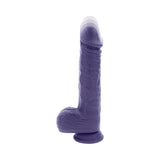 Evolved Pleasure Rider Rechargeable Dildo with Remote Silicone Purple