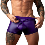 Male Power Eggplant Crossover Short Plum