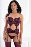 4pc Sparkling Wired Top, Garter Belt, Thong & Stockings