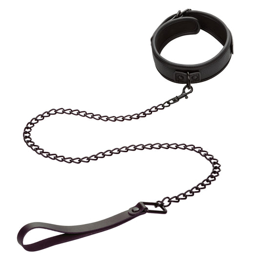 Nocturnal Collection Collar & Leash - Black