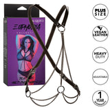 Euphoria Collection Multi Chain Harness - Plus Size - Black