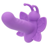 First Time Rotating Venus Butterfly
