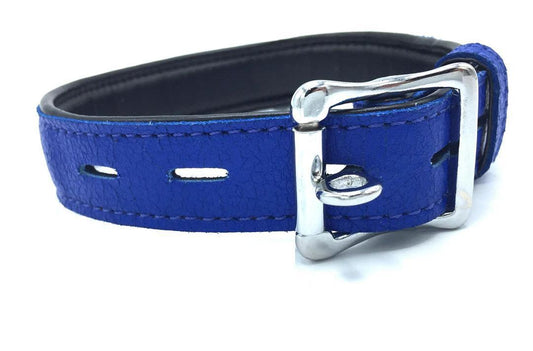 GARMENT LEATHER COLLAR WITH LOCKING BUCKLE