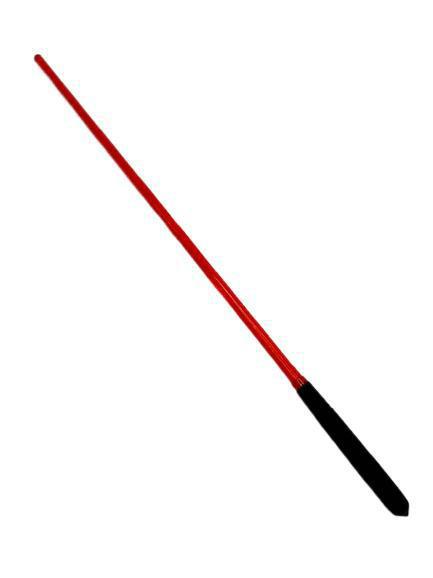 Acrylic Cane