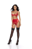 23801H - BRA & GARTERBELT SET